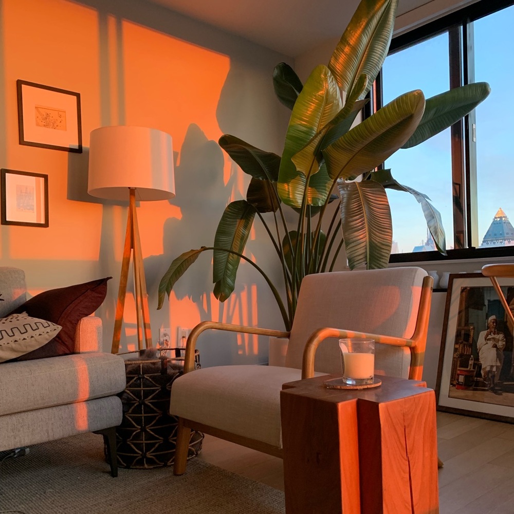 Meet your Posher, Mohammad